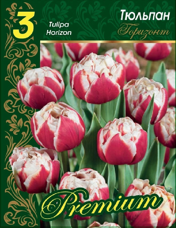 Тюльпан Горизонт 1 уп. (3шт.) 